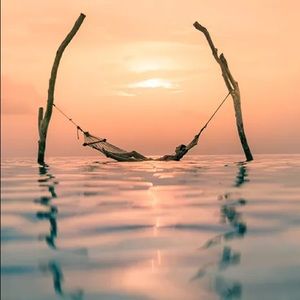 Meet your Posher, Lucy